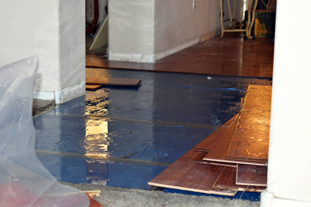 Professional Structural Drying technician working in Baldwin, MI